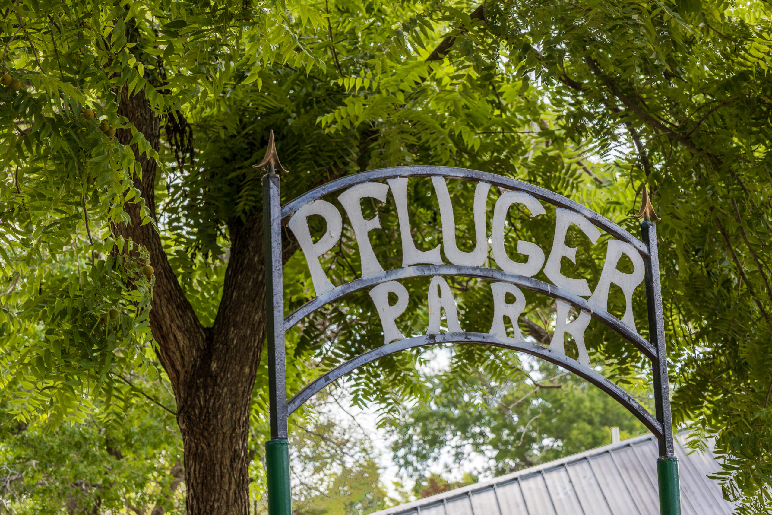 metal banner sign that reads Pfluger Park in front of a large tree